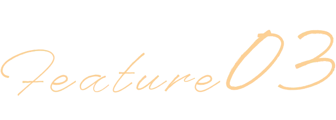 Feature03
